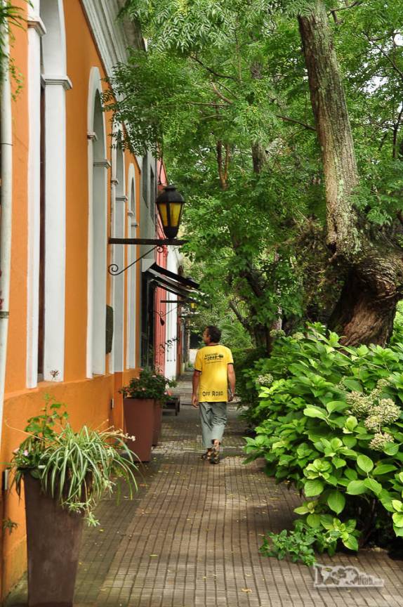 Em busca de hotéis, caminhando nas ruas arborizadas de Colonia del Sacramento, no sul do Uruguai